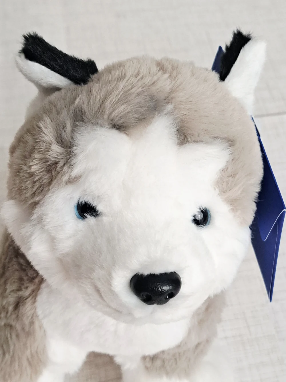 Hugs & Cuddles Rescue Center Husky Dog Toy - Gray & White Soft Chew Plush